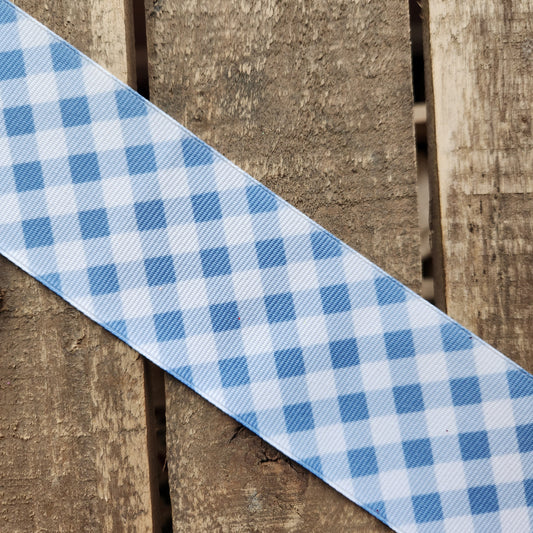 Light Blue Gingham (Mini)