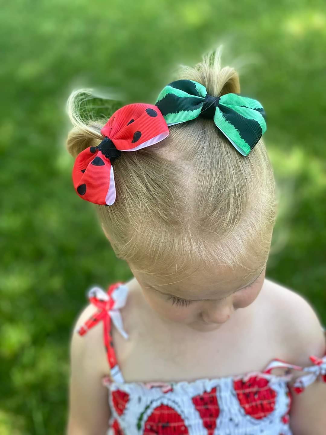 Watermelon Crawl (Jumbo)