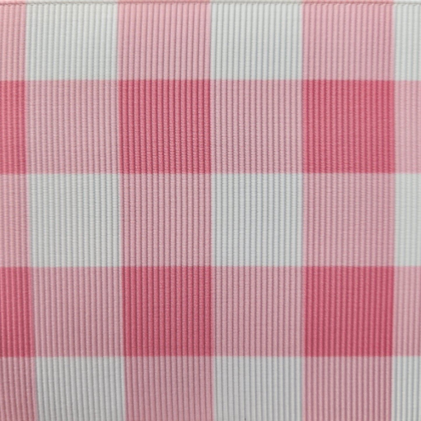 Barbie Gingham (Large)